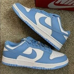 BLUE NIKE DUNKS